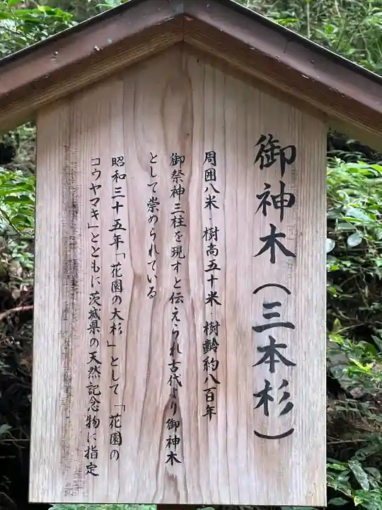 花園神社(茨城県)