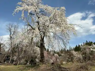 貞麟寺(長野県)
