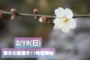 くまくま神社(導きの社 熊野町熊野神社)(東京都) 2023年02月19日(日)〜(2023年02月18日(土) 19時06分25秒投稿)