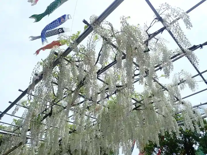 時宗総本山 遊行寺(正式:清浄光寺)(神奈川県)