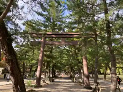 出雲大社(島根県)