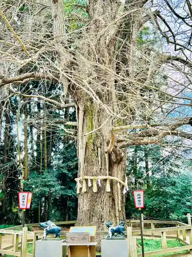 水戸八幡宮(茨城県)