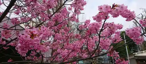 阿邪訶根神社の自然