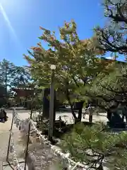 今宮神社(京都府)