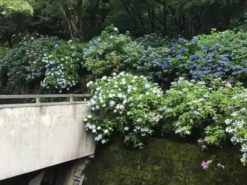 高幡不動尊　金剛寺(東京都)