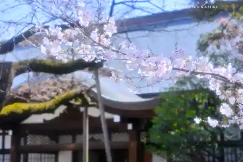 靖國神社(東京都)