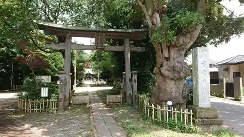 畑子安神社の鳥居