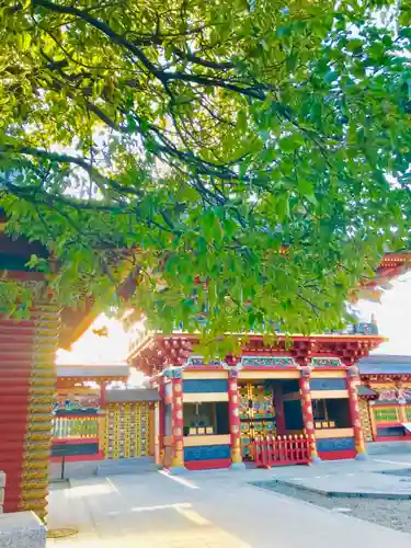 大杉神社(茨城県)