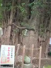 鶴嶺八幡宮の建物その他