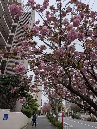 桜神宮(東京都)