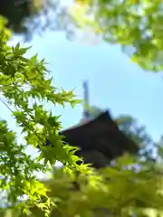 国宝 大法寺の景色