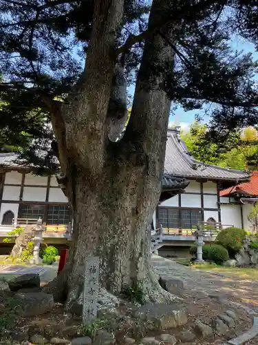 補陀寺(宮城県)