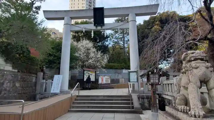 乃木神社の鳥居