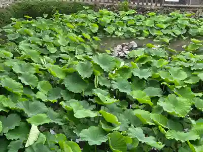 笠覆寺 (笠寺観音)(愛知県)