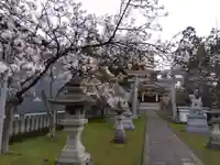 櫻谷神社(福井県)