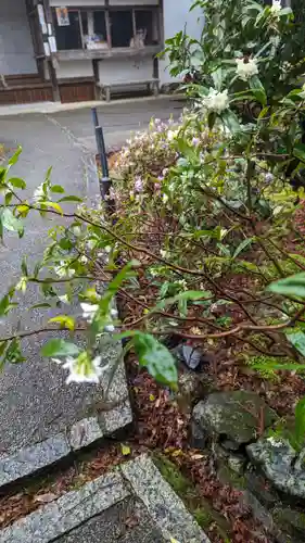 十輪寺(京都府)