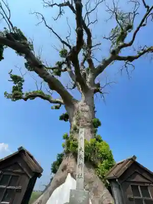 大木神社跡地(三重県)