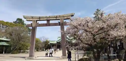 豊國神社の鳥居