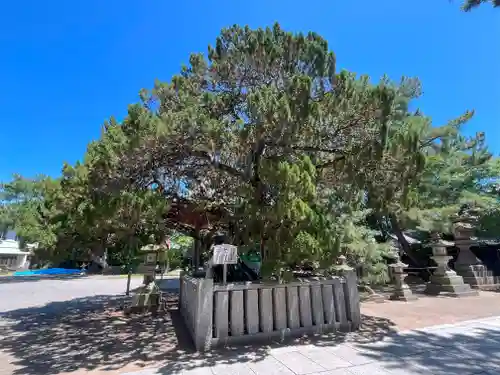 高砂神社の建物その他