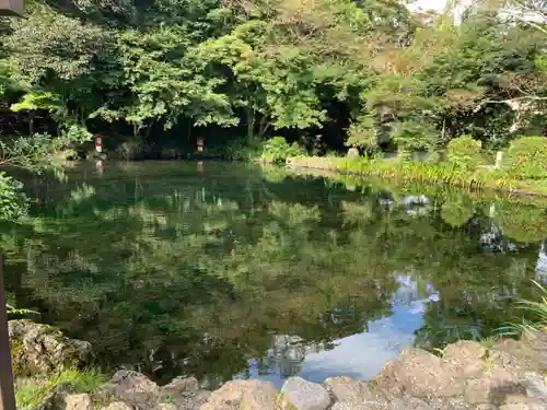 富士山本宮浅間大社の景色