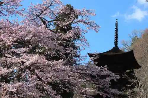 国宝 大法寺の自然