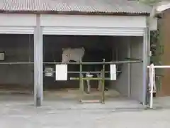 大和国鹿島香取本宮の動物