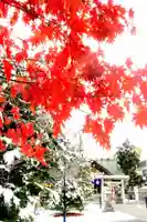 烈々布神社(北海道)