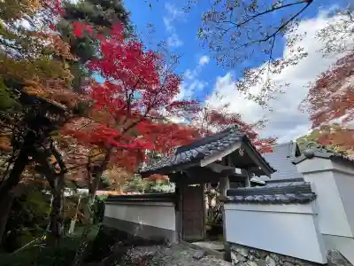 神峯山寺(大阪府)