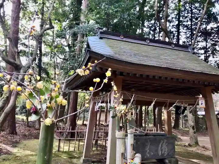 小御門神社の手水舎