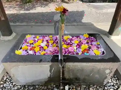 美濃國一宮　南宮大社の手水舎