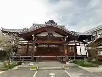 智光院(東京都)