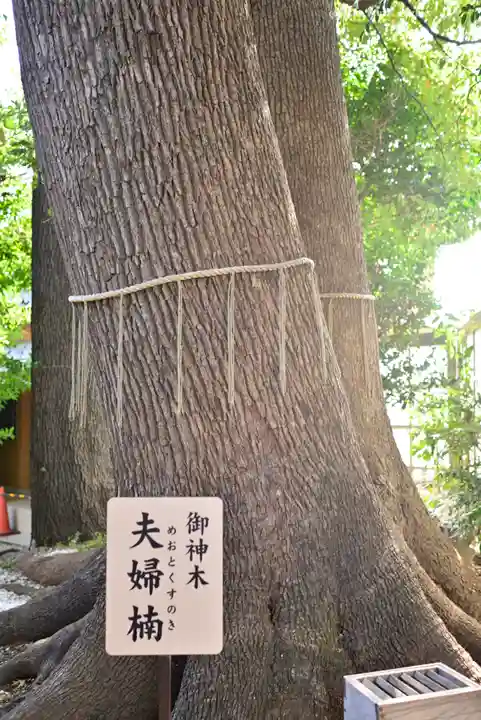 鳩ヶ谷氷川神社(埼玉県)