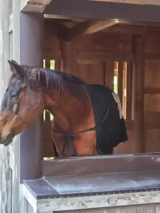 伊勢神宮内宮(皇大神宮)(三重県)