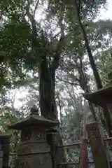 小倉神社の自然