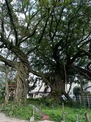 野島神社(宮崎県)