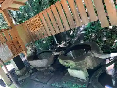 白山比咩神社の手水舎