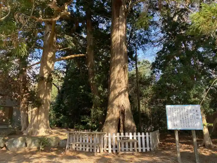 鎌数伊勢大神宮の{uncategorized: "未分類", other: "その他", undefined: "問題あり", building: "その他建物", grave: "お墓", sacred_gate: "鳥居", guardian: "狛犬", statue: "像", buddha: "仏像", history: "歴史", nature: "自然", garden: "庭園", animal: "動物", pagoda: "塔", temizu: "手水舎", mountain_gate: "山門・神門", sanctuary: "本殿・本堂", subordinate: "末社・摂社", art: "芸術", scenery: "景色", jizo: "地蔵", ema: "絵馬", goshuin: "御朱印", omikuji: "おみくじ", items: "授与品その他", amulet: "お守り", goshuincho: "御朱印帳", eats: "食事", festival: "お祭り", votive_dance: "神楽", shichigosan: "七五三参", wedding: "結婚式", experience: "体験その他", initially: "初詣", around: "周辺", anti_infection: "感染症対策"}