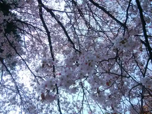 帯廣神社の自然