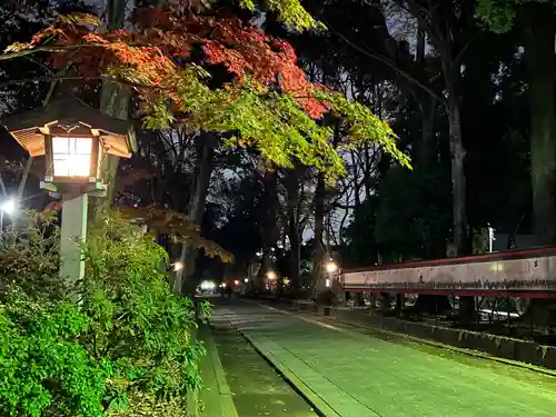 武蔵一宮氷川神社(埼玉県)