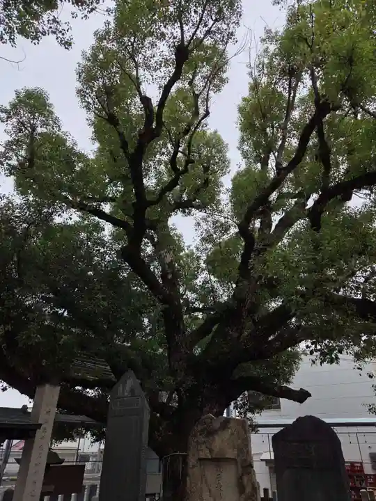 石津神社(大阪府)