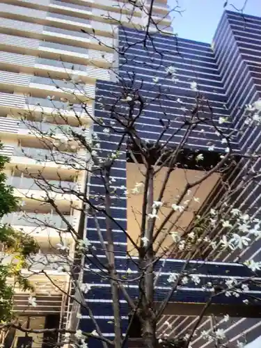 茶ノ木神社(東京都)