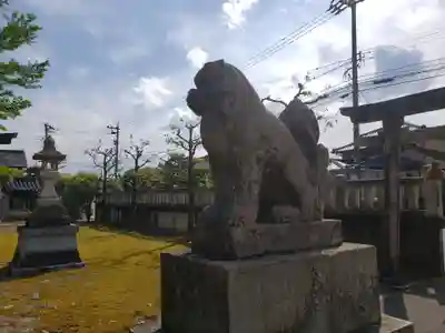 白山宮の狛犬