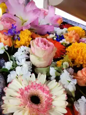 鳩森八幡神社(東京都)