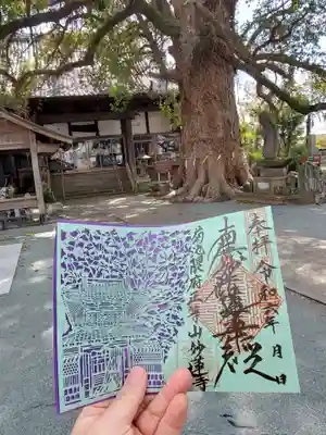 妙蓮寺(熊本県)