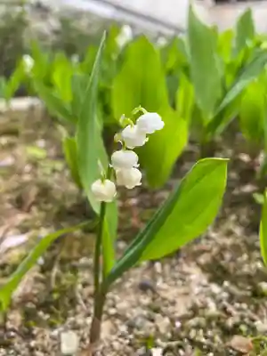 永澤寺(兵庫県)