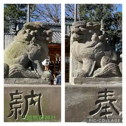 川越熊野神社の狛犬