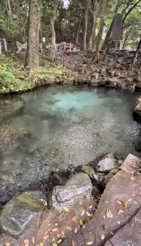 泉神社(茨城県)