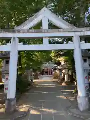 日枝神社水天宮の鳥居