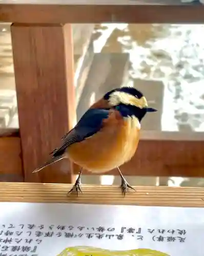 蚊里田八幡宮(長野県)