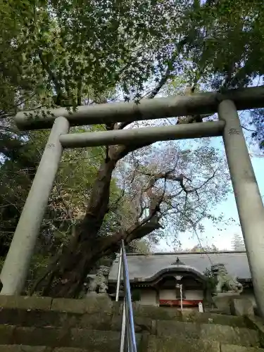 八柱神社の鳥居